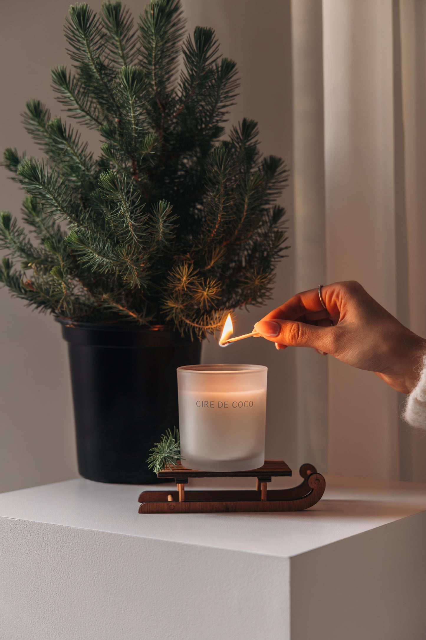 White Fir
