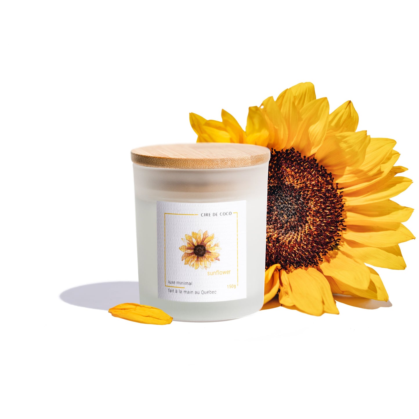 Sunflower - Bougie classique