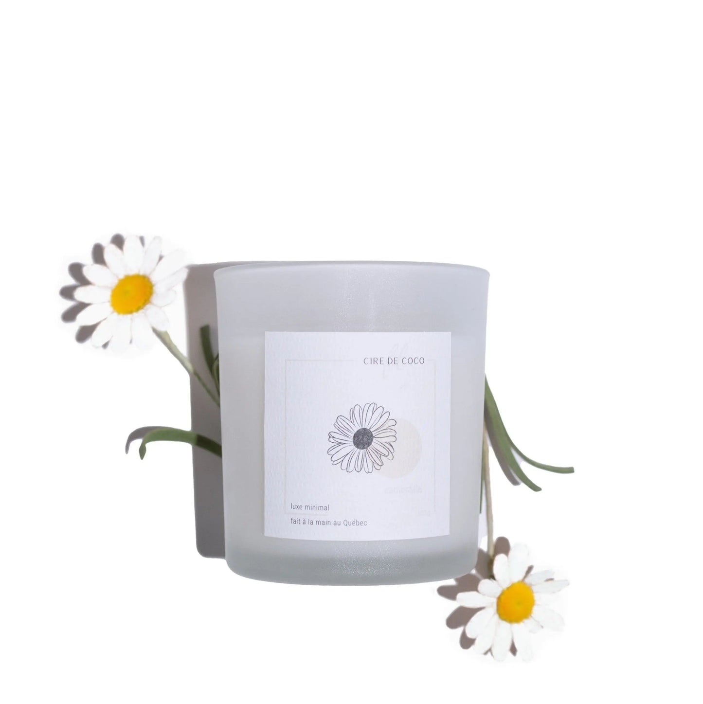 Camomille FL cire de coco