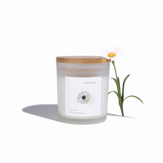 Camomille FL cire de coco