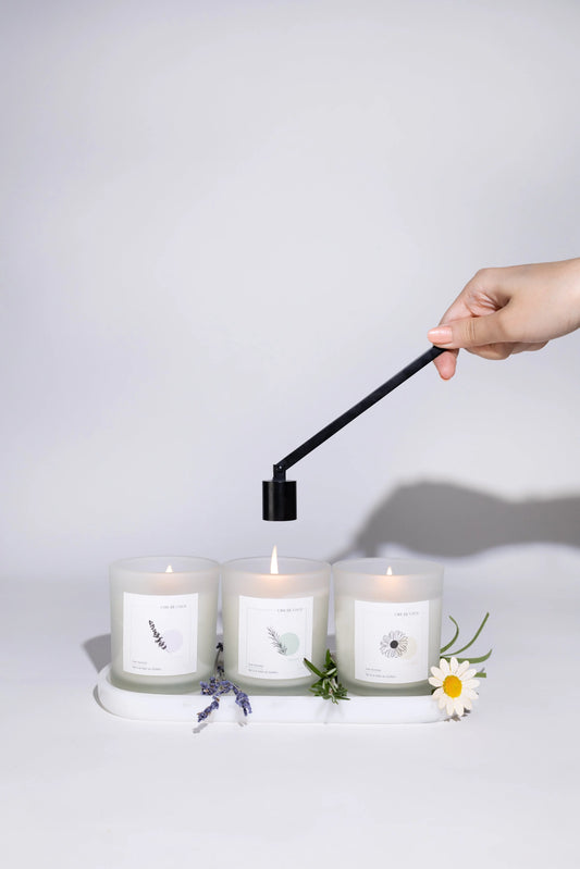 Éteignoir Luxe Noir FL cire de coco