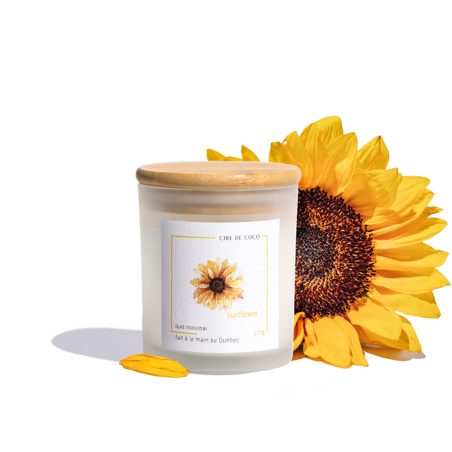 Sunflower - Bougie classique